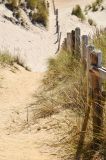 201108141226-AJS_7397.jpg
